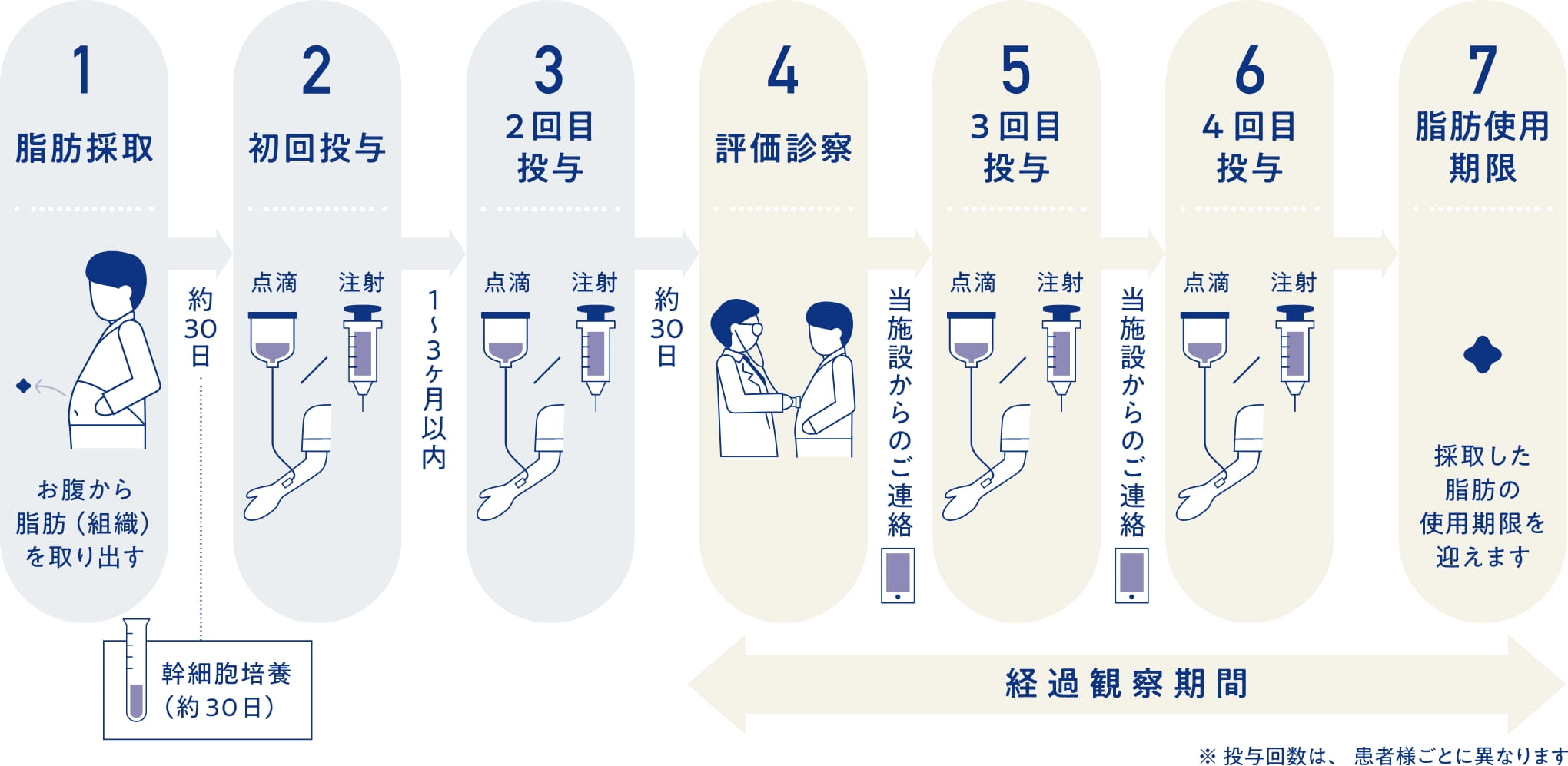 幹細胞治療年間スケジュール例